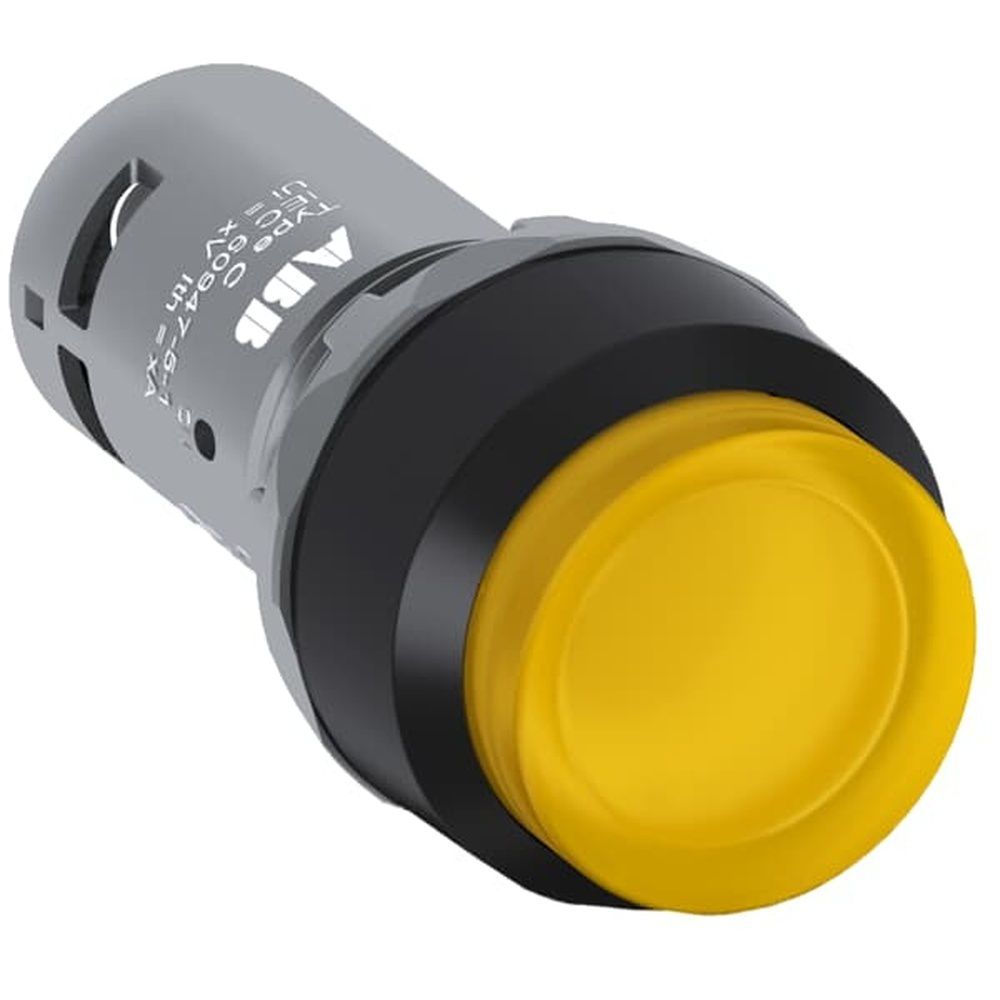 ABB Leuchtdrucktaster 1SFA619101R1213 Typ CP2-12Y-10 
