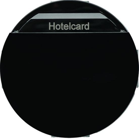 Berker Hotelcard Schaltaufsatz 16402035