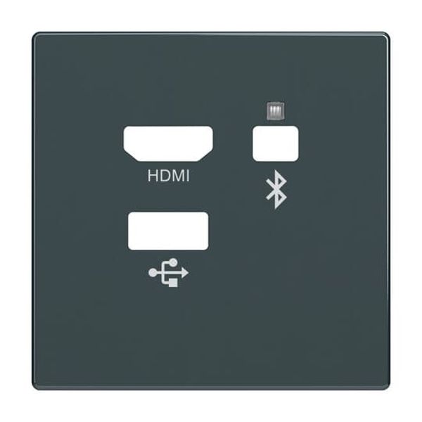 Busch-Jaeger Zentralscheibe Media Connector 8256-81 Nr. 2CKA008200A0227