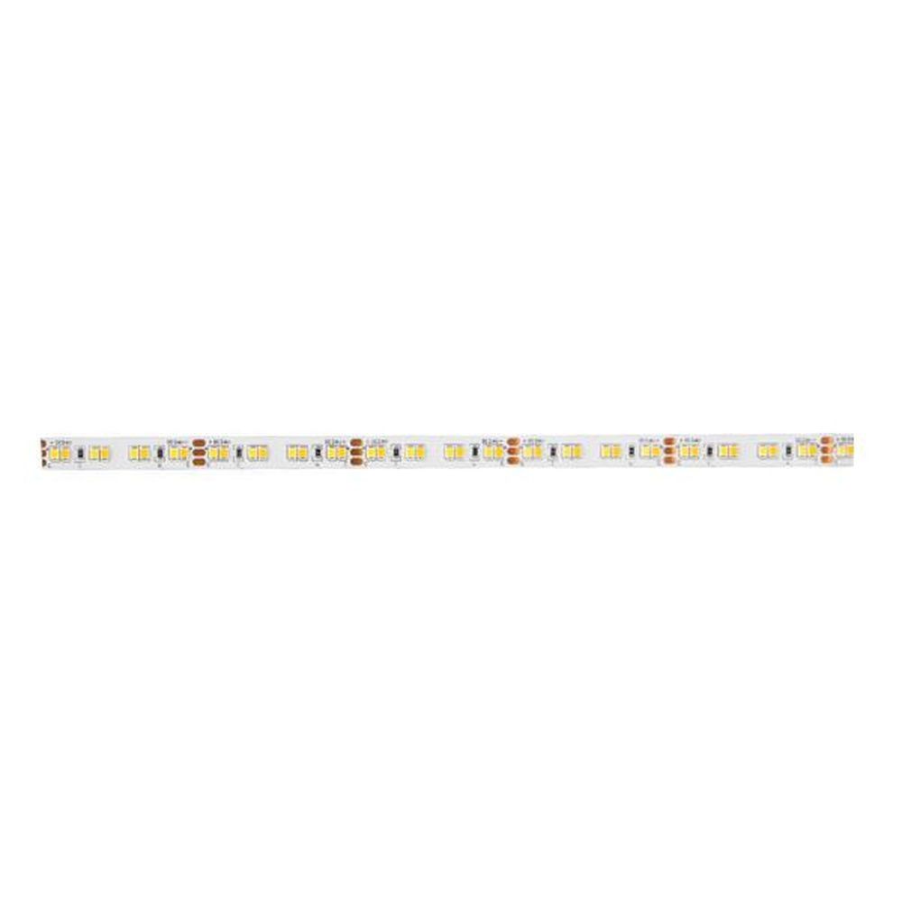 Brumberg LED Flexplatine 15566004