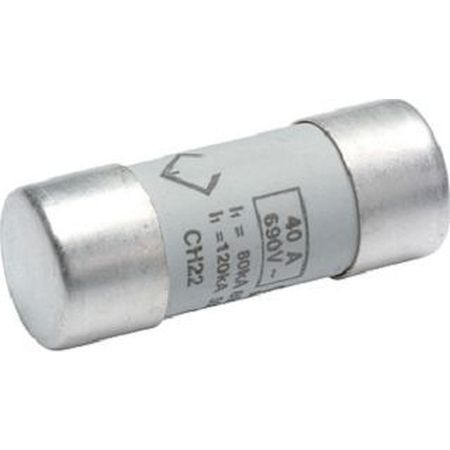 Hager Sicherung 22x58mm LF540G Preis per VPE von 10 Stück