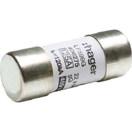 Hager Sicherung 22x58mm LF599G Preis per VPE von 10 Stück