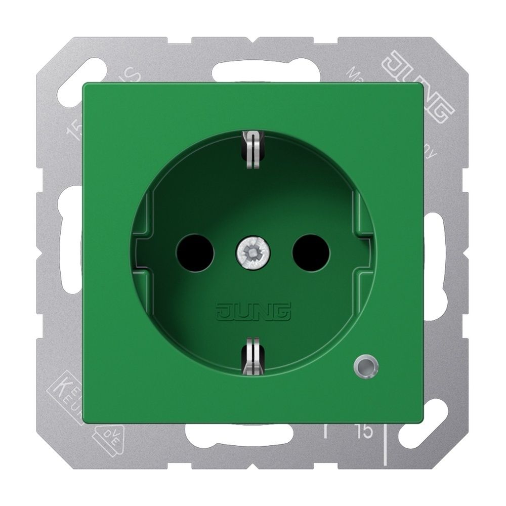 Jung Schutzkontakt Steckdose ABA 1520 BFKO GN EAN Nr. 4011377145153