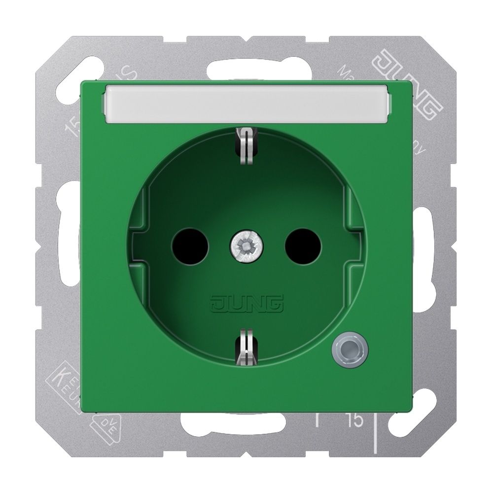 Jung Schutzkontakt Steckdose A 1520 BFNAKO GN EAN Nr. 4011377158436