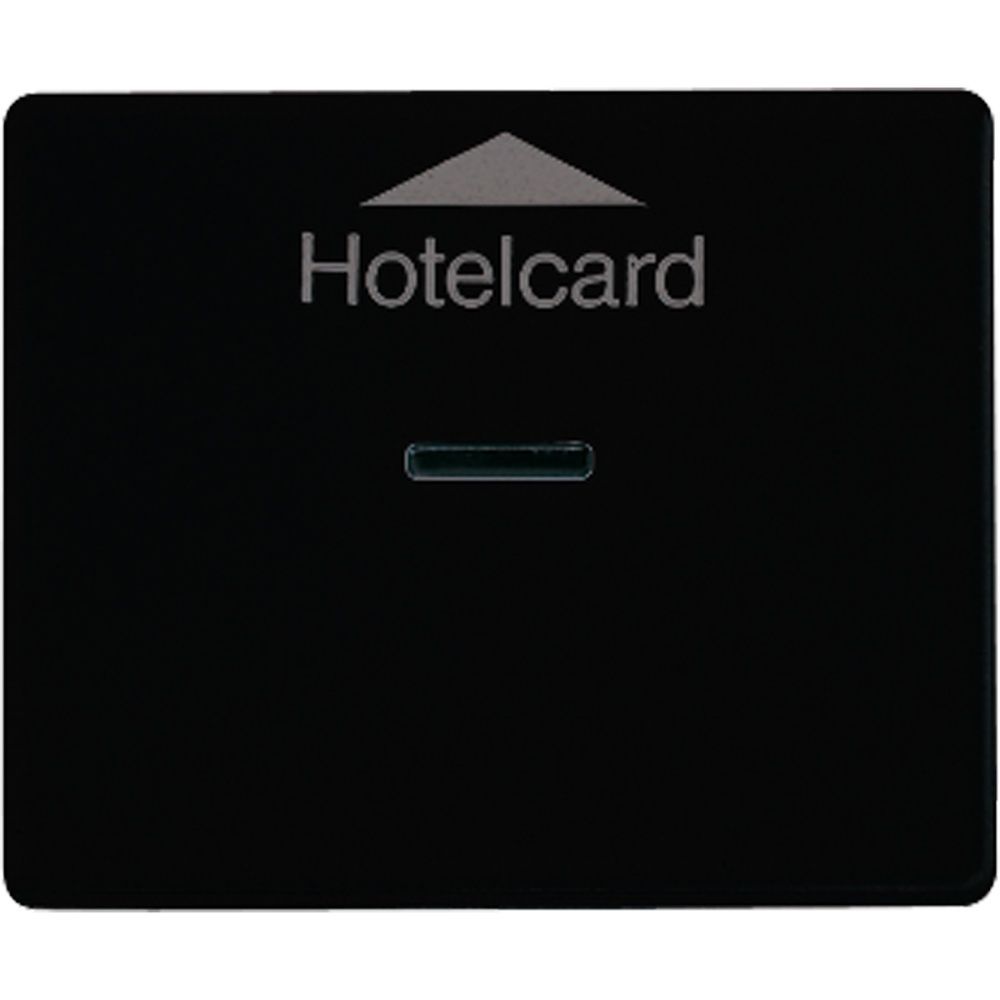 Jung Hotelcard Schalter SL590CARDSW