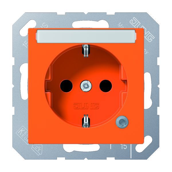 Jung Schutzkontakt Steckdose A 1520 BFNAKO O EAN Nr. 4011377158443