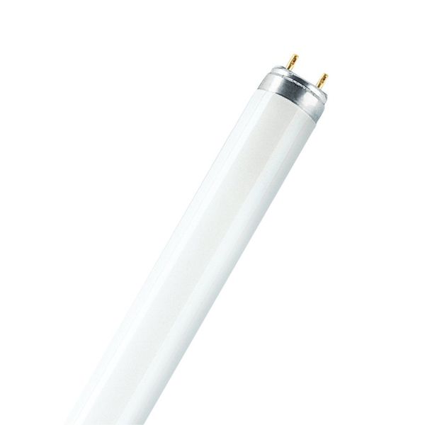 Ledvance Osram Leuchtstofflampe Stabform 111395 Typ L36W/965-FLH1 Preis per VPE von 25 Stück Energieeffizienz A