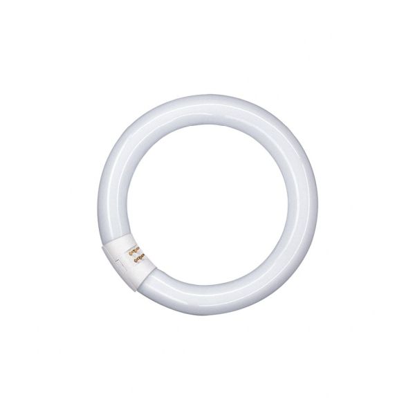 Ledvance Osram Leuchtstofflampe Ringform 581143 Typ L32W/840-C-G10Q-FLH1 Energieeffizienz A