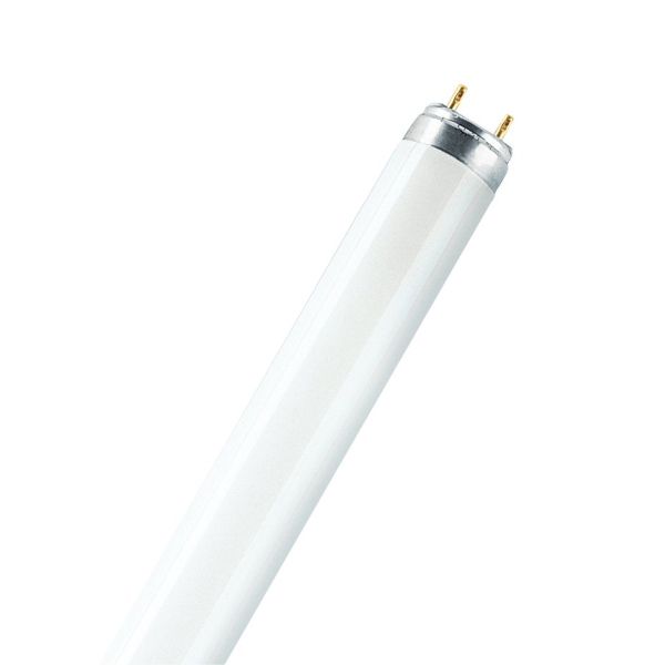 Ledvance Osram Leuchtstofflampe Stabform 517797 Typ L18W/840-FLH1 Energieeffizienz A