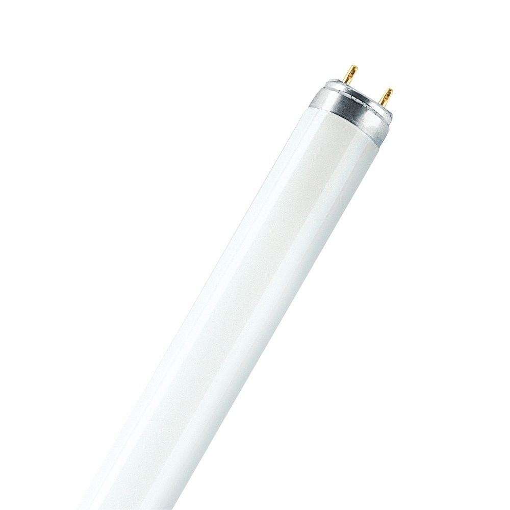 Ledvance Osram Leuchtstofflampen 517896 Preis per VPE von 25 Stück 