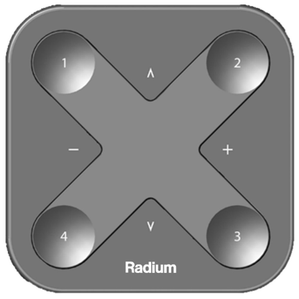 Radium Smarter Schalter LMZA4954 Typ XPRESS-LR BLACK 