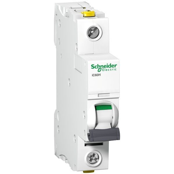 Schneider Electric Leitungsschutzschalter A9F06106 